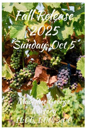 2025 FR Party 11:00