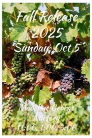 2025 FR Party 3:00